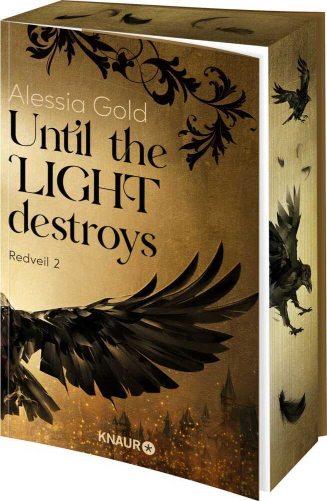 Until the Light destroys main product photo