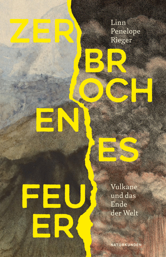 Zerbrochenes Feuer main product photo
