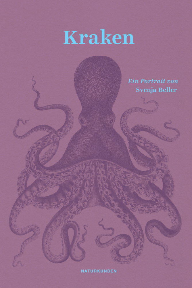 Kraken main product photo