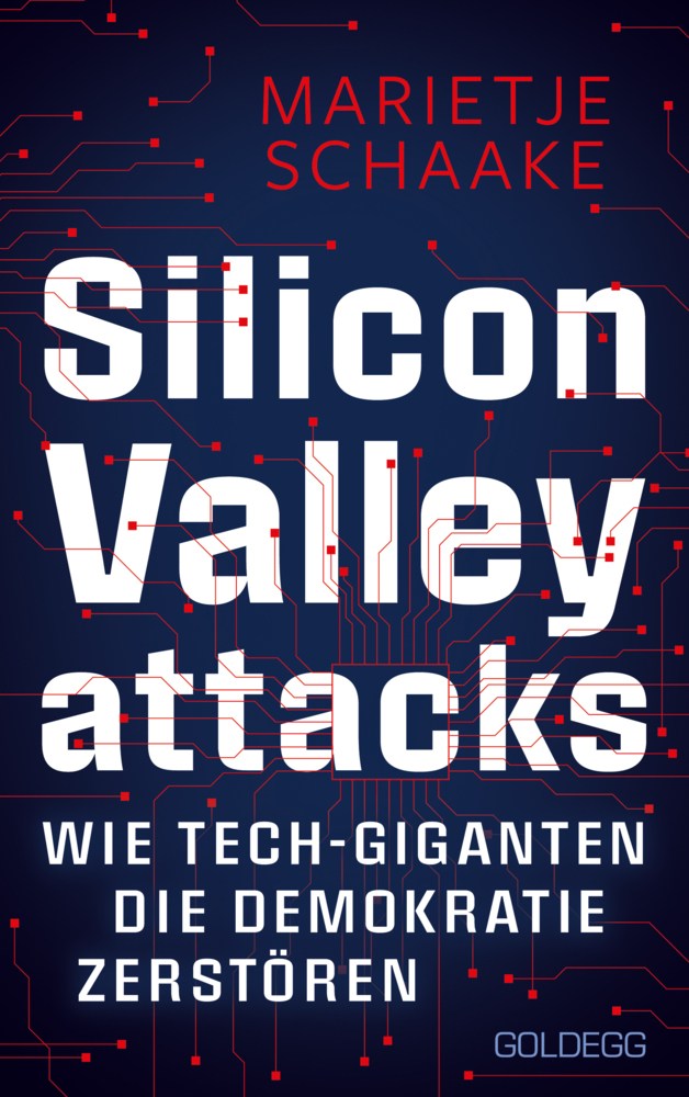 Silicon Valley attacks main product photo