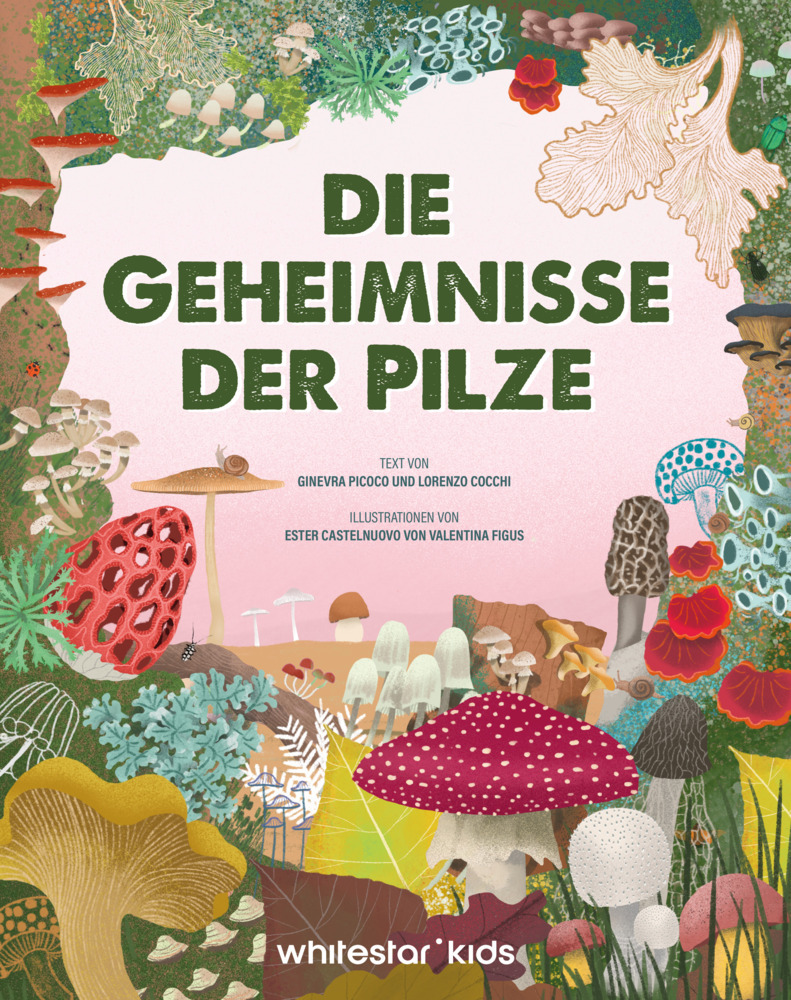 Die Geheimnisse der Pilze main product photo