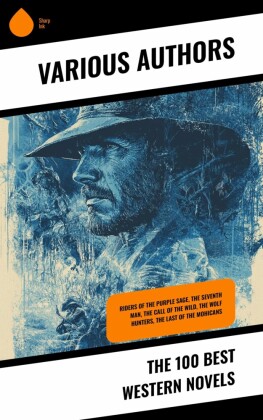 The 100 Best Western Novels