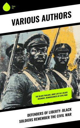 Defenders of Liberty: Black Soldiers Remember the Civil War