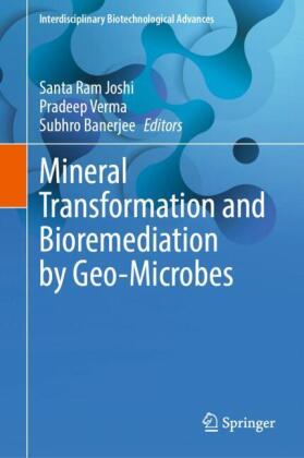 Mineral Transformation and Bioremediation by Geo-Microbes