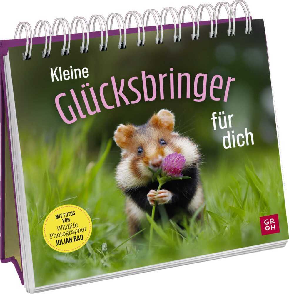 Kleine Glücksbringer für dich main product photo