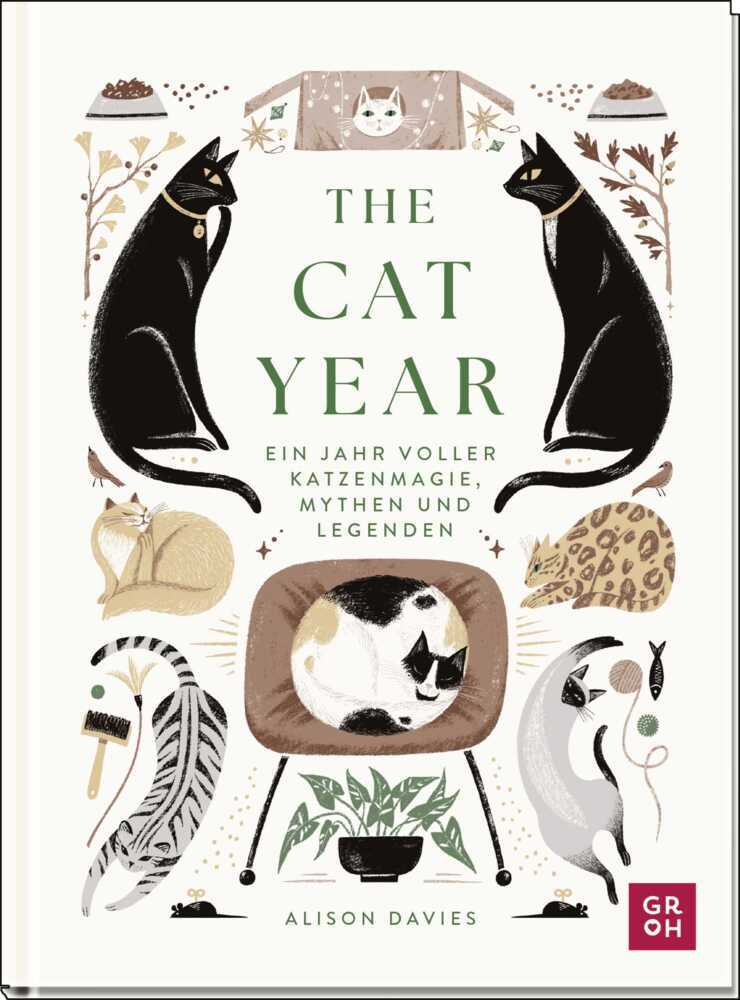 The Cat Year main product photo