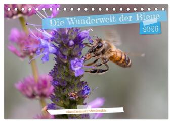 Die Wunderwelt der Biene (Tischkalender 2026 DIN A5 quer), CAL...