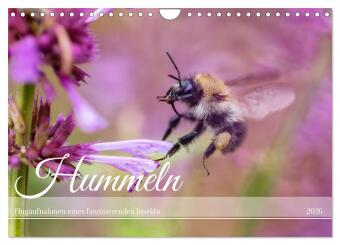 Hummeln - Flugaufnahmen eines faszinierenden Insekts (Wandkale...