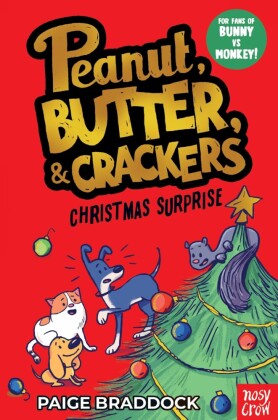 Christmas Surprise