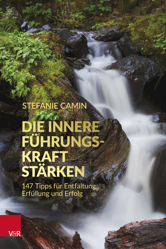 Die innere Führungskraft stärken main product photo