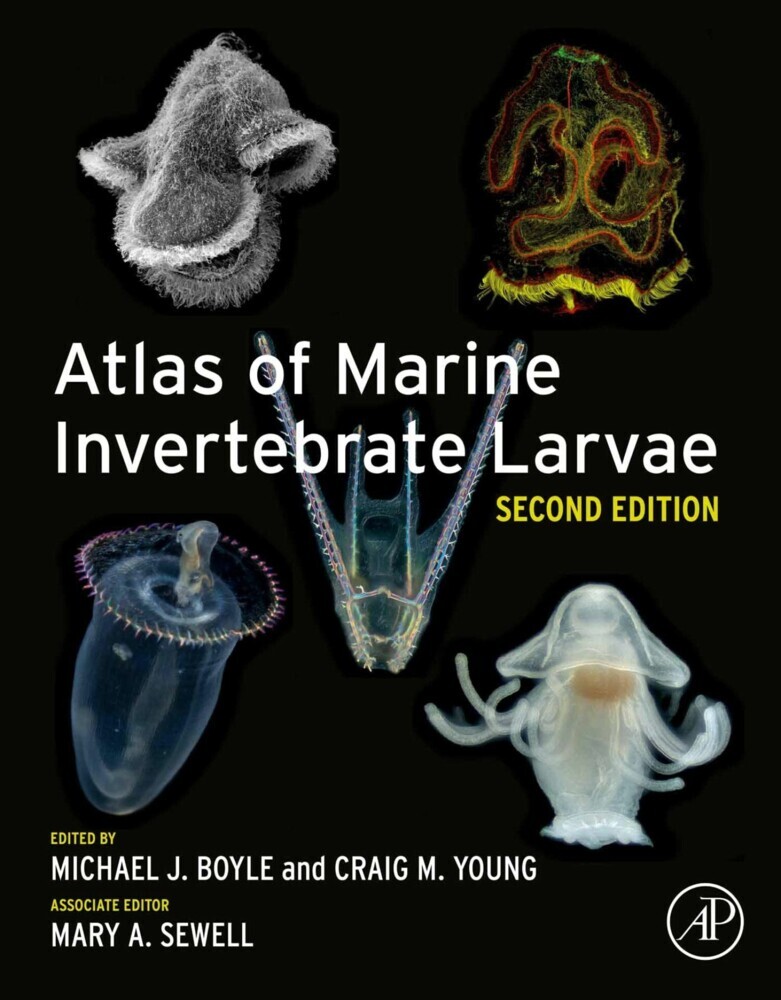 Atlas of Marine Invertebrate Larvae main product photo
