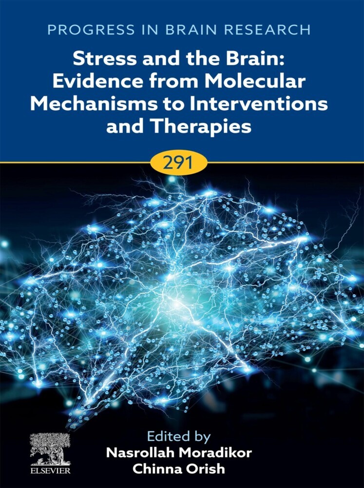 Stress and The Brain: Evidence from Molecular Mechanisms to Interventions and Therapies main product photo