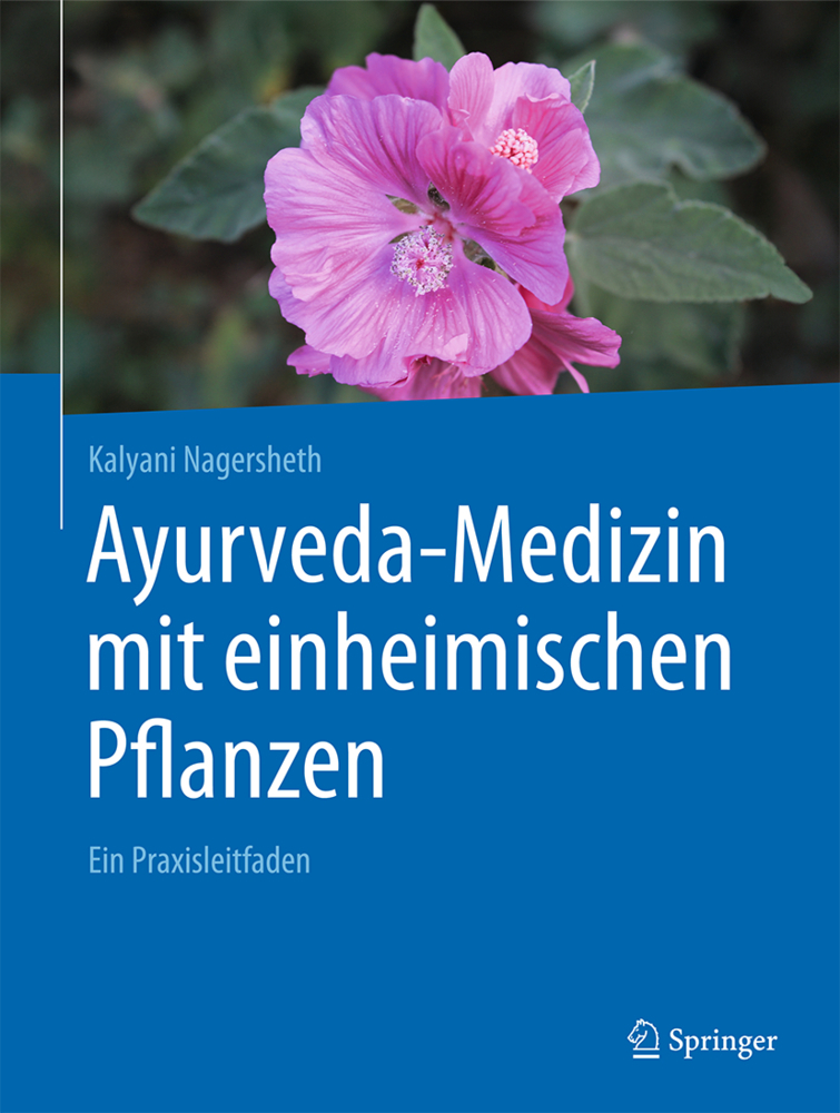 Ayurveda-Medizin mit einheimischen Pflanzen main product photo