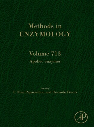 Apobec Enzymes