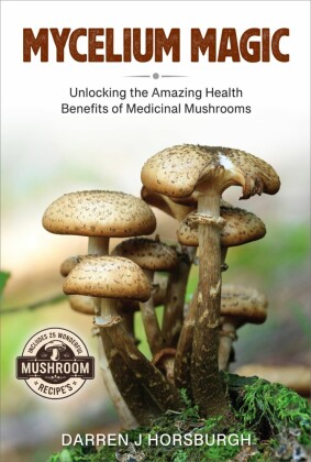 Mycelium Magic