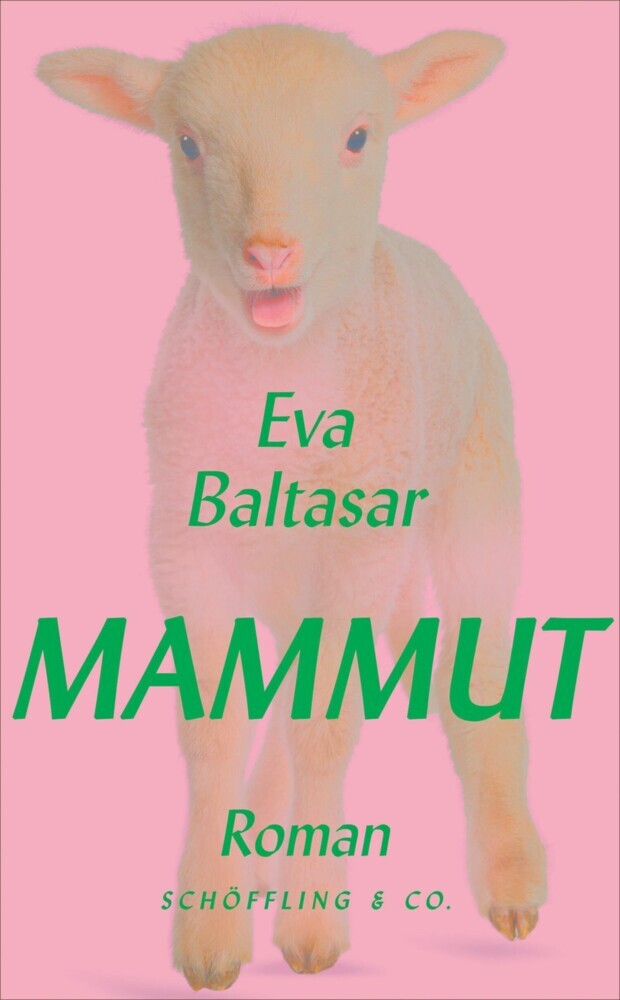 Mammut main product photo