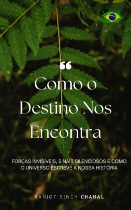 Como o Destino Nos Encontra