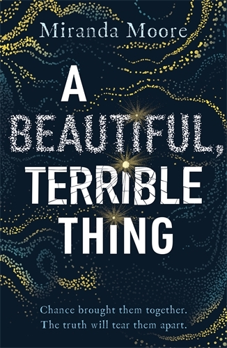 A Beautiful, Terrible Thing main product photo
