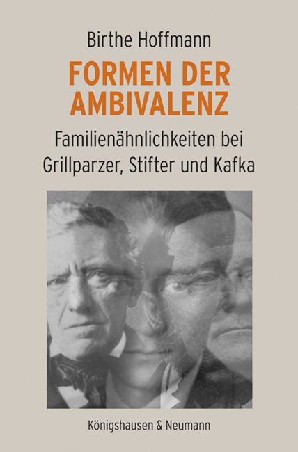 Formen der Ambivalenz main product photo