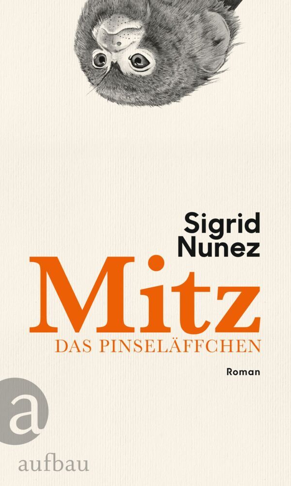 Mitz, das Pinseläffchen main product photo