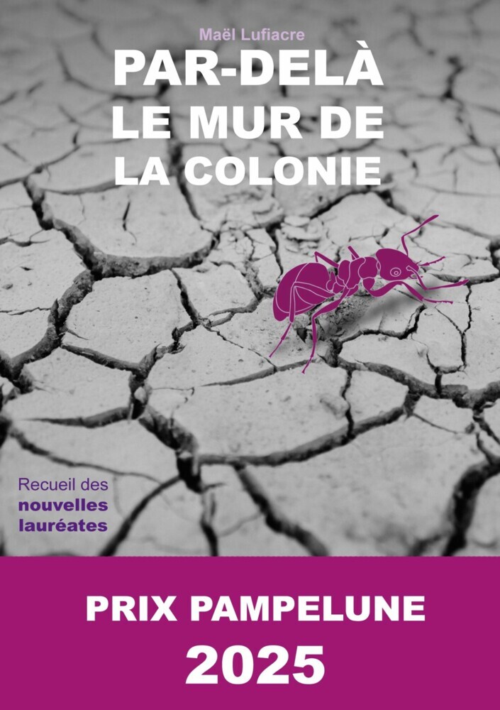 Par-delà le Mur de la Colonie main product photo