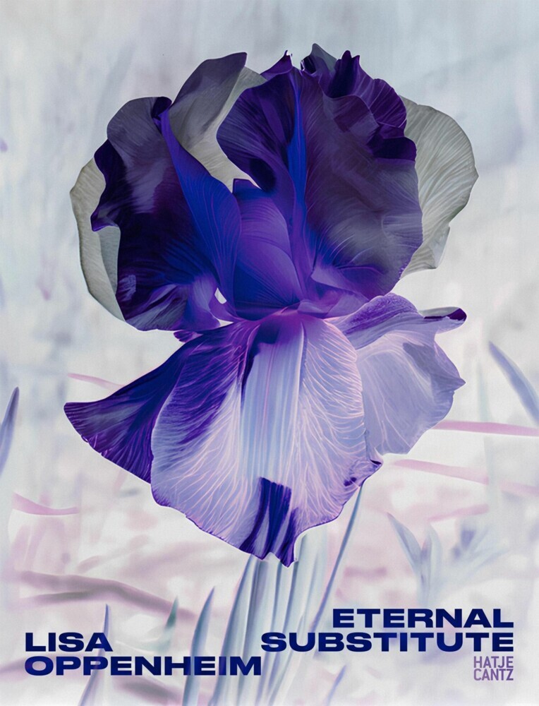 Lisa Oppenheim: The Eternal Substitute main product photo