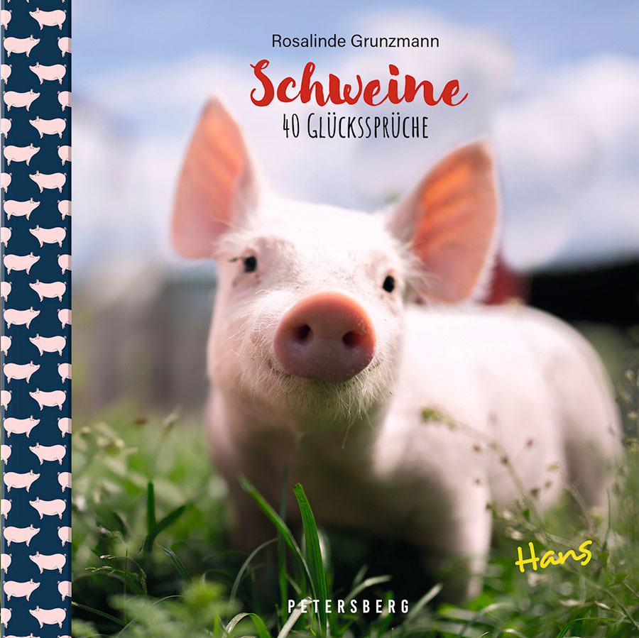 Geschenkbuch Schweine main product photo