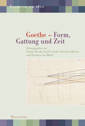 Goethe - Form, Gattung und Zeit