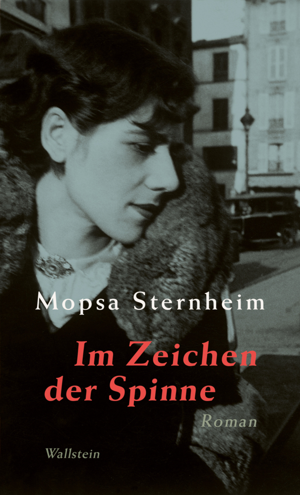 Im Zeichen der Spinne main product photo