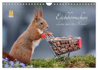 Eichhörnchen Luna und ihre Kinder (Wandkalender 2026 DIN A4 q...