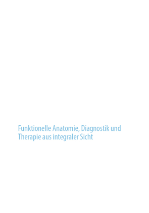 Der weibliche Beckenboden