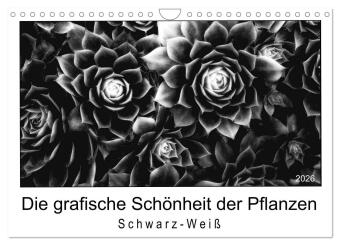 Die grafische Schönheit der Pflanzen - Schwarz-Weiß (Wandkal...