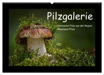 Pilzgalerie - Heimische Pilze aus der Region Rheinland-Pfalz (...