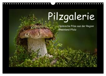 Pilzgalerie - Heimische Pilze aus der Region Rheinland-Pfalz (...