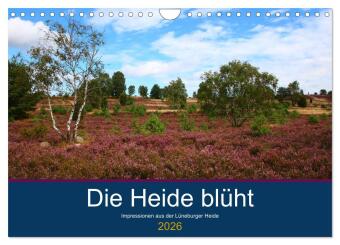 Die Heide blüht (Wandkalender 2026 DIN A4 quer), CALVENDO Mon...