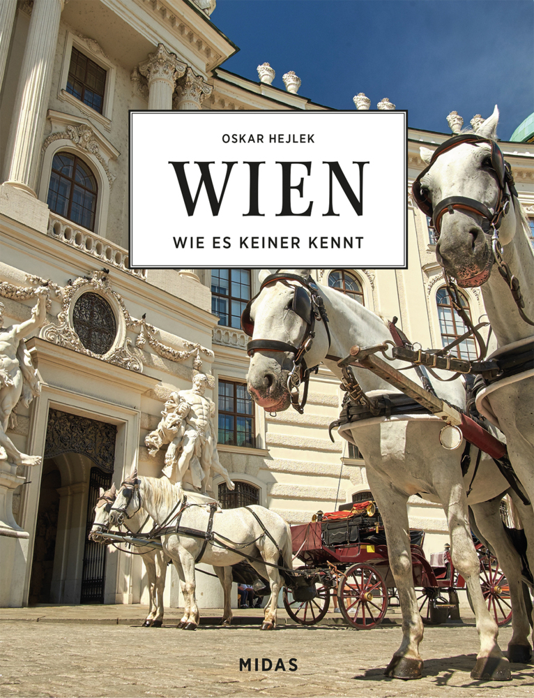 WIEN - Wie es keiner kennt main product photo