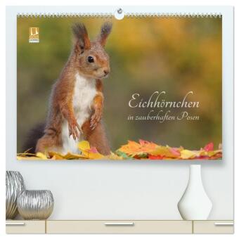 Eichhörnchen in zauberhaften Posen (hochwertiger Premium Wand...