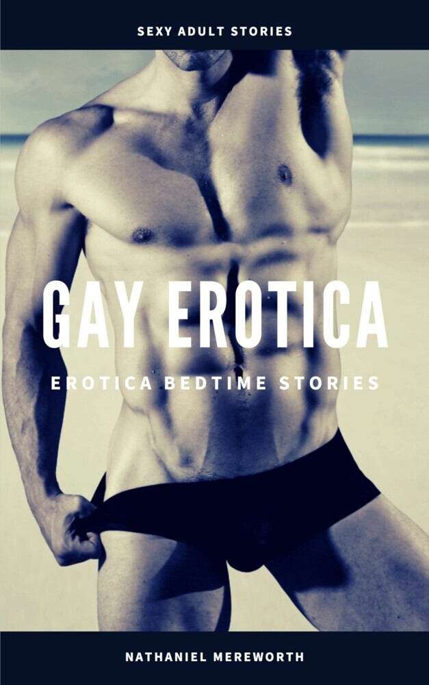 Gay Erotica main product photo