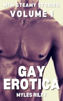 Gay Erotica - Volume 1