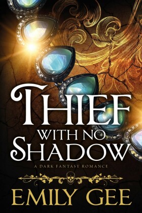 Thief With No Shadow