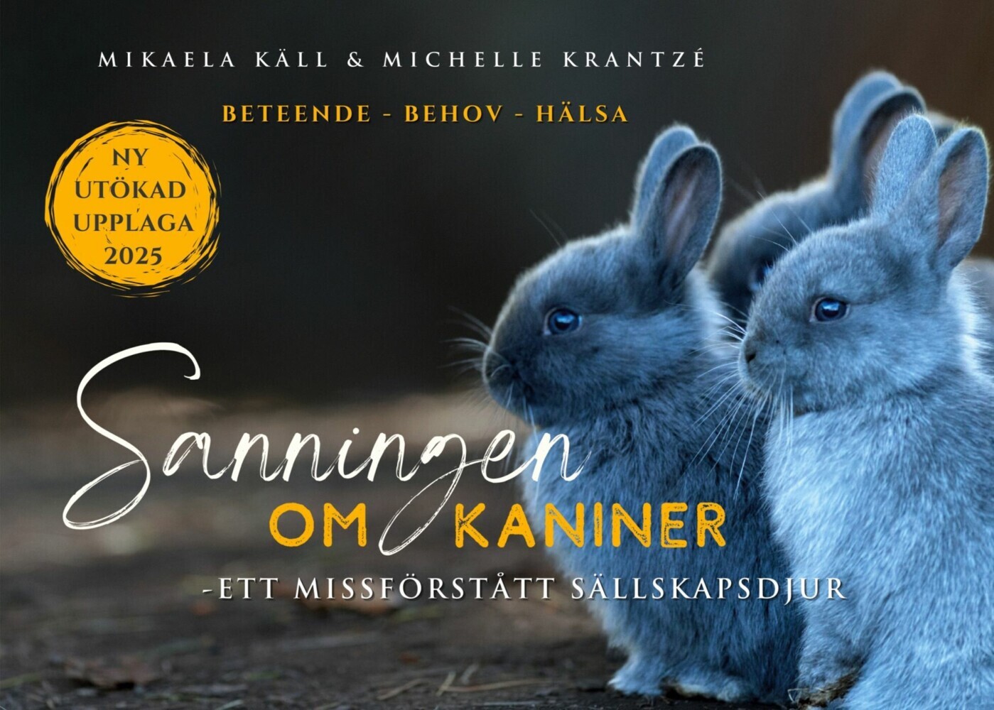Sanningen om Kaniner main product photo