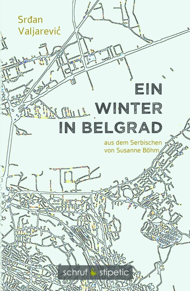 Ein Winter in Belgrad main product photo