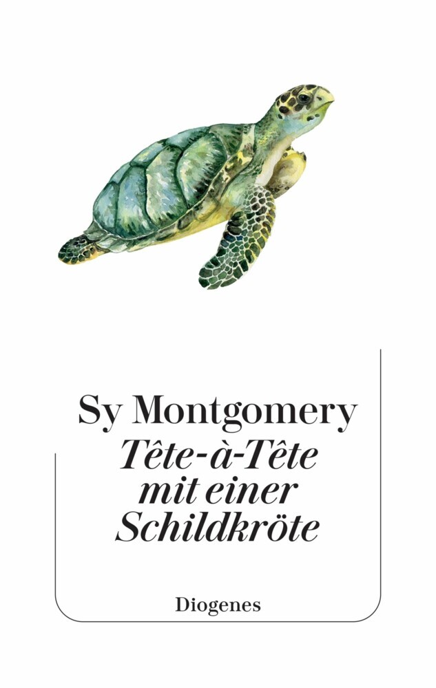 Tête-à-Tête mit einer Schildkröte main product photo