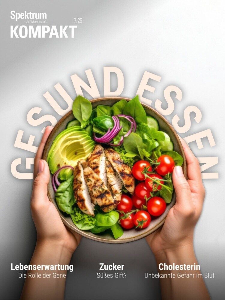 Spektrum Kompakt - Gesund essen main product photo