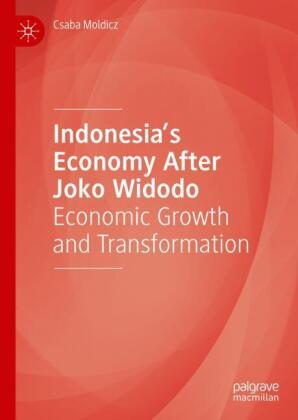 Indonesia's Economy After Joko Widodo