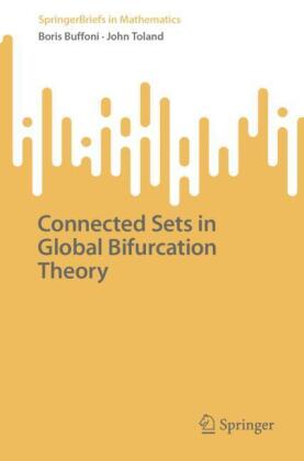 Connected Sets in Global Bifurcation Theory