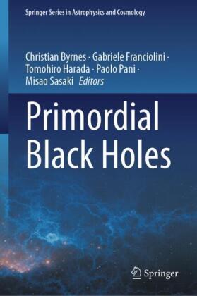Primordial Black Holes