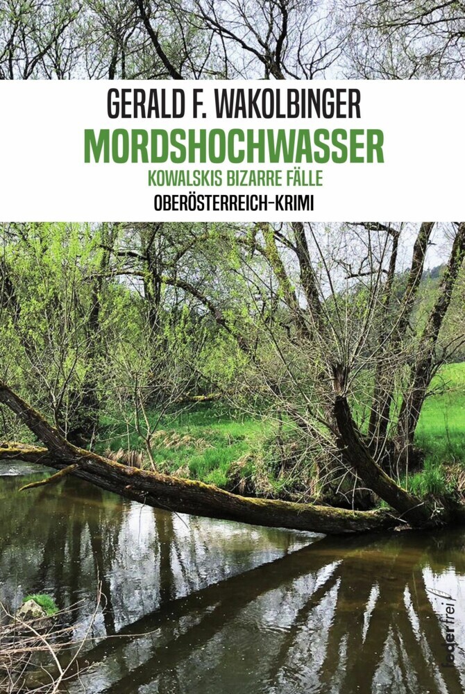 Mordshochwasser: Der erste Fall für Karl Morgentau. Oberösterreich-Krimi main product photo