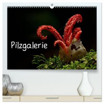 Pilzgalerie (hochwertiger Premium Wandkalender 2026 DIN A2 que...