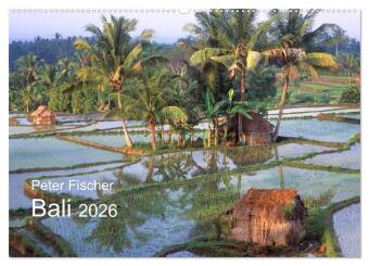 Peter Fischer - Bali 2026 (Wandkalender 2026 DIN A2 quer), CAL...